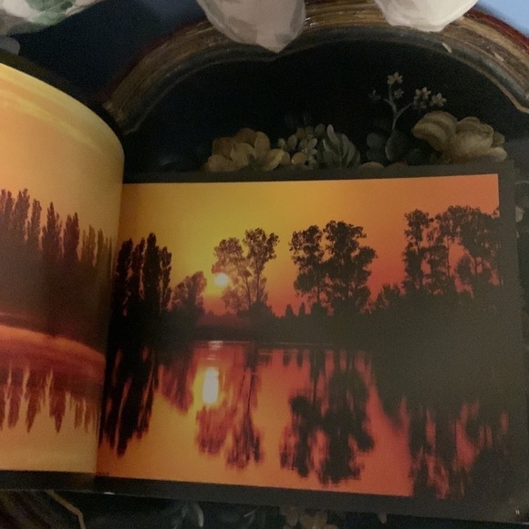 Lumières Des Alpilles par Jean-François Galeron book - Picture 2 of 10